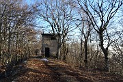 79  Sul sent. 571 DOL passaggio ad un casello nel bosco